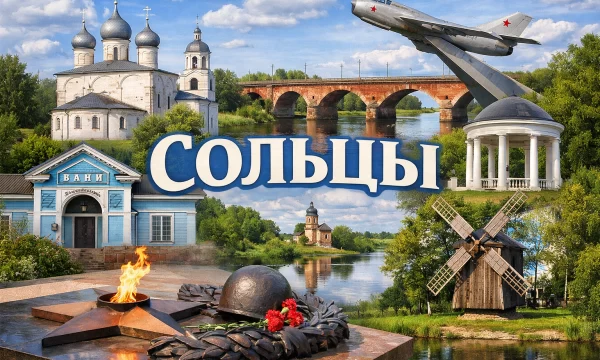 Сольцы Новгородская область Сольцы Новгородская область
